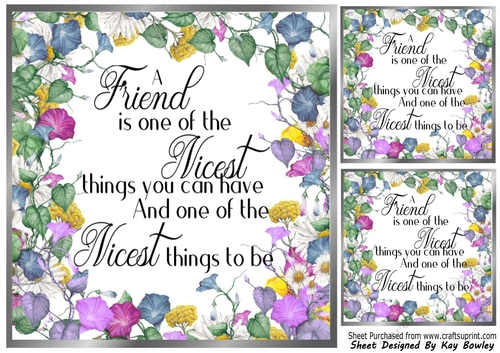 Pretty Silver & Floral Frame 8X8 With  FRIENDSHIP Verse