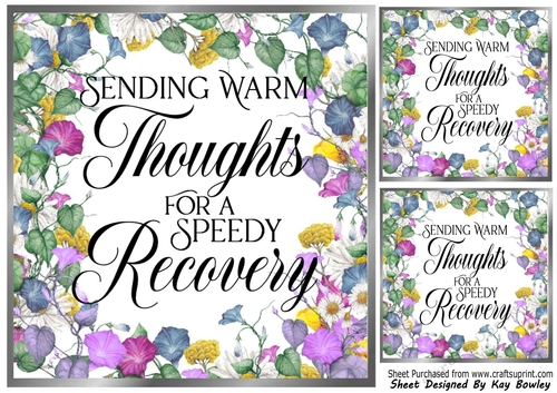 Pretty Silver & Floral Frame 8X8 With  GET WELL Verse