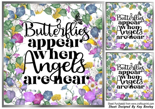 Pretty Silver & Floral Frame 8X8 With BUTTERFLIES Verse