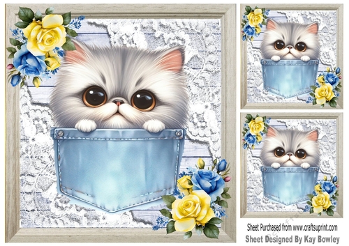 Cute Kitty In Denim Pocket With Flowers & Lace 8x8 (one)