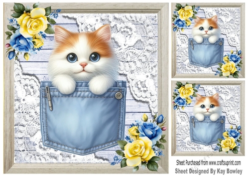 Cute Kitty In Denim Pocket With Flowers & Lace 8x8 (three)