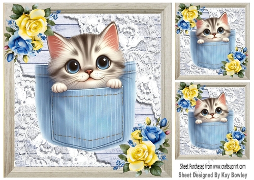 Cute Kitty In Denim Pocket With Flowers & Lace 8x8 (four)