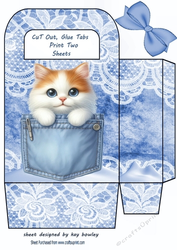 Cute Kitty In A Denim Pocket & Lace, Small Gift Bag (One)