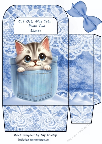 Cute Kitty In A Denim Pocket & Lace, Small Gift Bag (Two)