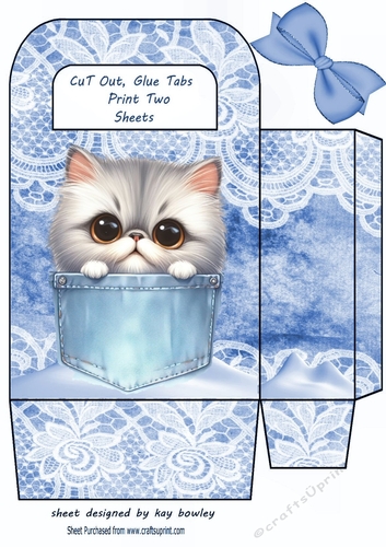 Cute Kitty In A Denim Pocket & Lace, Small Gift Bag (Three)