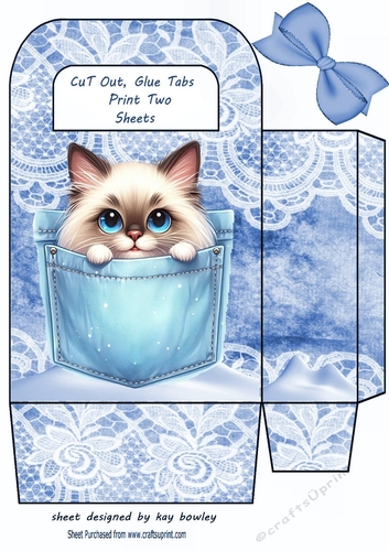 Cute Kitty In A Denim Pocket & Lace, Small Gift Bag (Four)