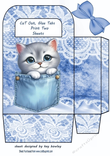 Cute Kitty In A Denim Pocket & Lace, Small Gift Bag (Five)
