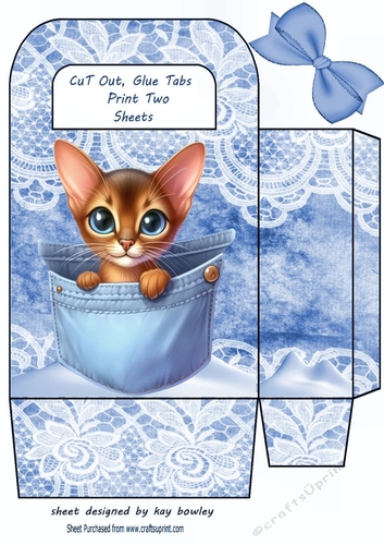 Cute Kitty In A Denim Pocket & Lace, Small Gift Bag (Six)