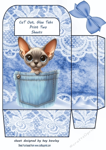 Cute Kitty In A Denim Pocket & Lace, Small Gift Bag (Seven)