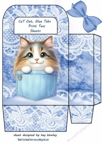 Cute Kitty In A Denim Pocket & Lace, Small Gift Bag (Eight)