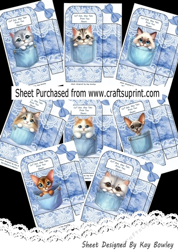  8 Cute Kitties In Denim Pockets & Lace, Small Gift Bags BUMPER KIT