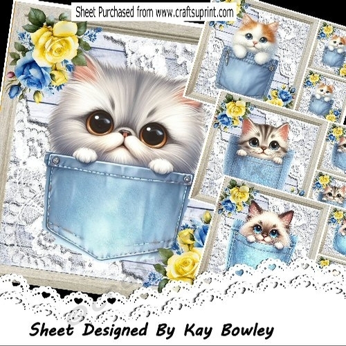 4 Cute Kitties In Denim Pockets & Lace With Flowers 8x8 Mini Kit