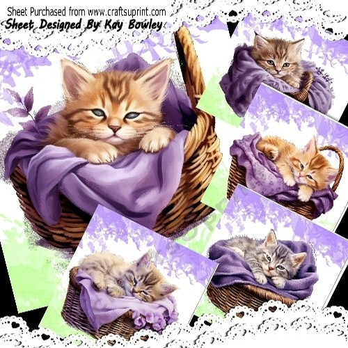 5 Cute Kittens With Purple Blankets 8x8 Card Fronts Mini Kit