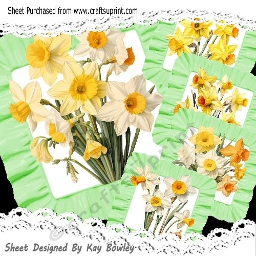 5 Lovely 8x8 Toppers of  Spring Daffodils In Frill Frames Mini Kit