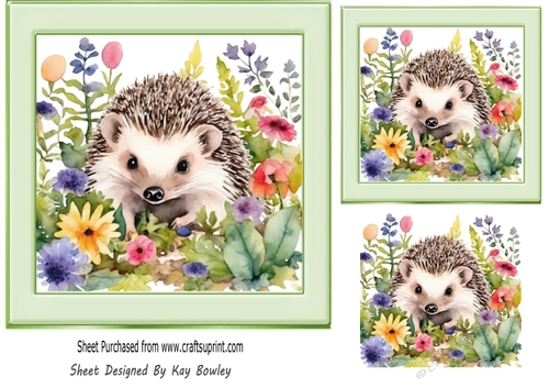 Cute Little Hedgehog With Flowers 7x7 (One)