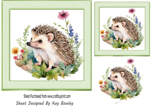 Cute Little Hedgehog With Flowers 7x7 (Two)