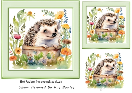 Cute Little Hedgehog With Flowers 7x7 (Three)