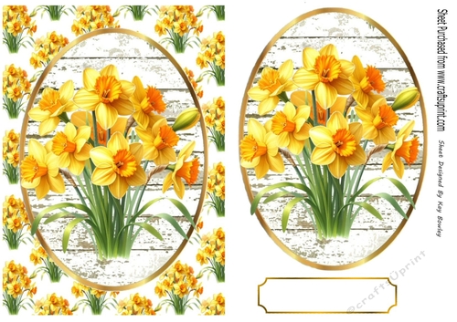 Pretty A5 Yellow Daffodils In Oval Frame & Topper 