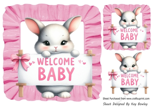 Welcome Baby! Cute Bunny Pink Frill 8x8 Frame