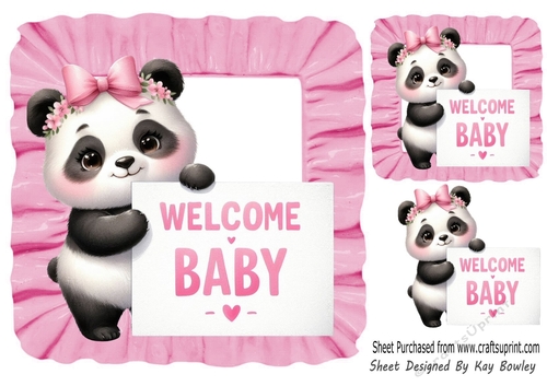 Welcome Baby! Cute Panda Pink Frill 8x8 Frame