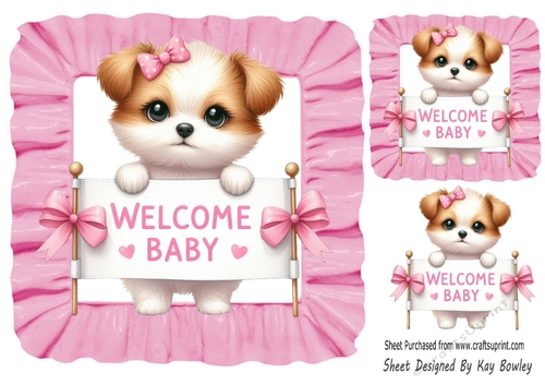 Welcome Baby! Cute Puppy Pink Frill 8x8 Frame