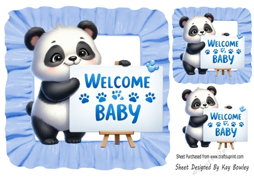 Welcome Baby! Cute Panda Blue Frill 8x8 Frame
