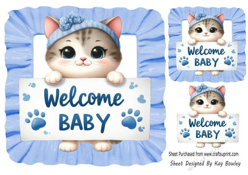 Welcome Baby! Cute Kitten Blue Frill 8x8 Frame