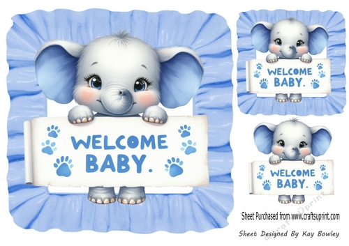 Welcome Baby! Cute Elephant Blue Frill 8x8 Frame