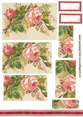 Pretty Pink Rosebuds, Pyramids