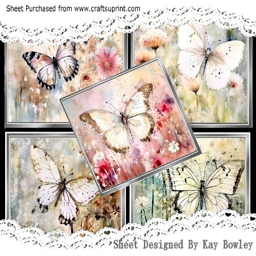 5 Pretty Grunge Floral Butterfly 8X8 Card Fronts Mini Kit