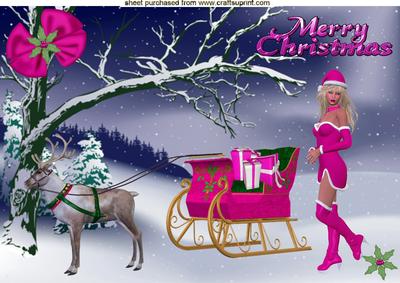 Pretty in Pink, with Reindeer & Sleigh A4 Topper