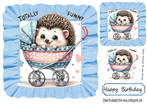 Cute & Funny Hedgehog In A Stroller Blue 8x8 Frill Frame 