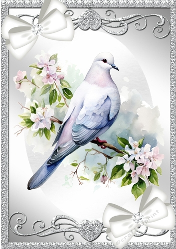 Lovely A4 Silver Ornate Card Front With Spring Dove & Bows