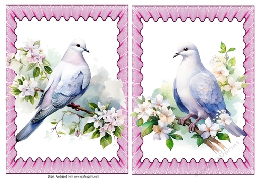 2 Pretty Spring Doves A5 Card Fronts In Pink Frill Frames