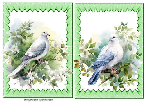 2 Pretty Spring Doves A5 Card Fronts In Green Frill Frames
