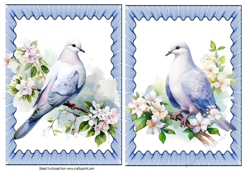 2 Pretty Spring Doves A5 Card Fronts In Blue Frill Frames