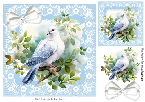 Pretty Spring Dove With Flowers & Bow Lace 8X8 Frame (Two)