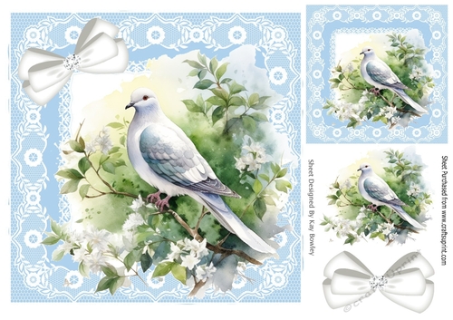 Pretty Dove On A Branch With Sparkle Bow Lace 8X8 Frame (Four)