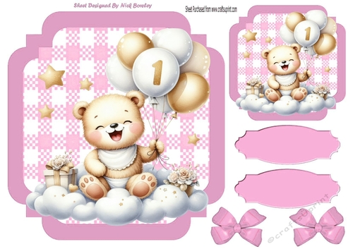 Lovely Birthday Teddy With Balloons (AGE ONE) In Pink Gingham Frame