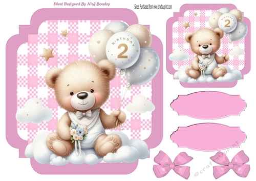Lovely Birthday Teddy With Balloons (AGE TWO ) In Pink Gingham Frame