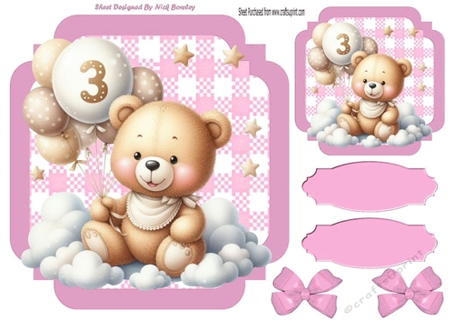 Lovely Birthday Teddy With Balloons (AGE THREE ) In Pink Gingham Frame
