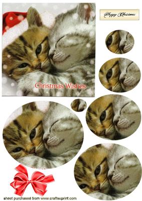 Little Kitties in Santa Hat Oval Pyramids