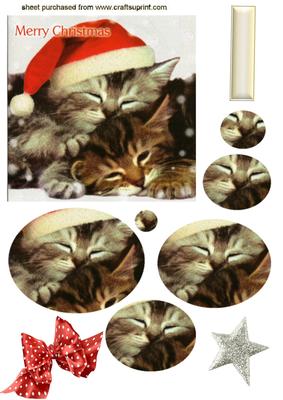 Cute Kitties with Santa Hat on Oval Pyramids