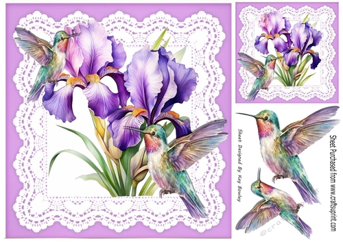 Purple Iris On Lace With Pretty Humming Birds 8x8 (One)