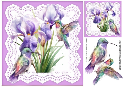 Purple Iris On Lace With Pretty Humming Birds 8x8 (Two)