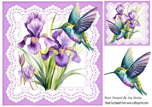 Purple Iris On Lace With Pretty Humming Birds 8x8 (Three)
