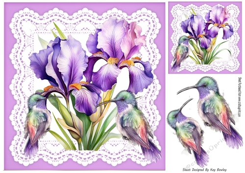 Purple Iris On Lace With Pretty Humming Birds 8x8 (Four)