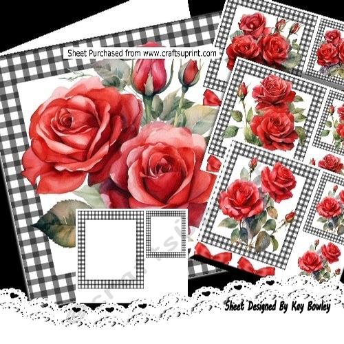 4 Pretty Red Roses In 7x7 Black Gingham Frames Cards Mini Kit
