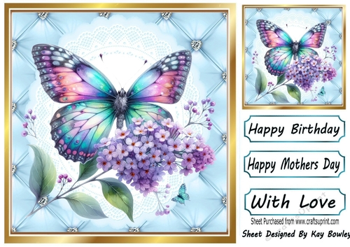 Pretty Quilt Diamond Frame With Blue Butterfly 8x8 (Four)