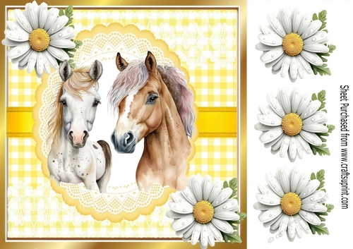Pretty White Daisies & Yellow Gingham 8x8 With Horses (One)